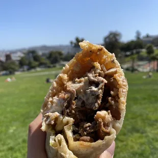 Carne Asada Super Burrito