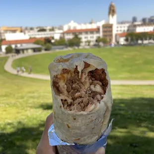Carne Asada Burrito