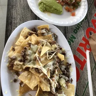 Carne asada nachos everything on the side