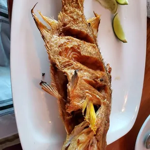 Fried hogfish