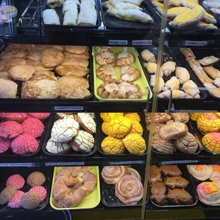 Love the mini-conchas here, stays soft and fresh for days after purchase!