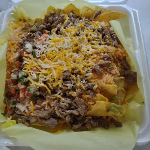 Carne asada fries