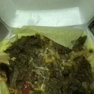 Carne Asada fries