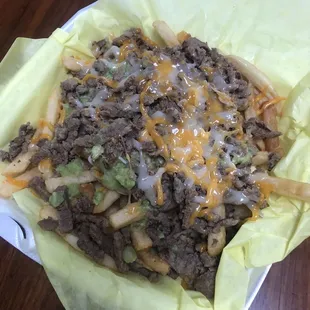 Carne asada fries