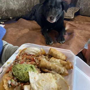 SweatTracker.com crew was here! Gallo combo 4/5 stars.