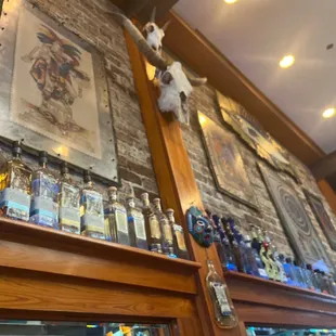 Bottles line the wall