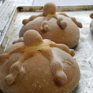 Not sure what these are called but they were huge!