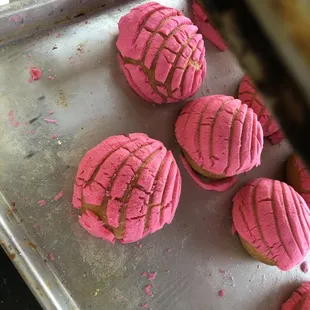 Pink conchas
