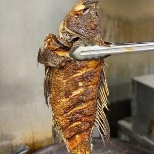 Pan fried rockfish