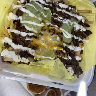 #19 Carne Asada Fries