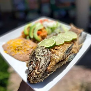 a plate of food