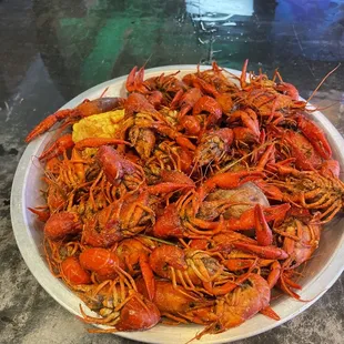 Crawfish