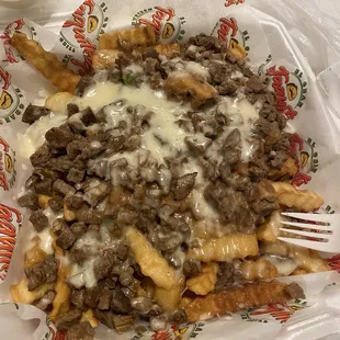 Carne Asada Fries