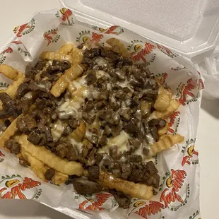 Carne Asada Fries