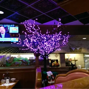 a lighted tree in a restaurant