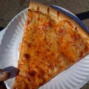 a slice of cheese pizza