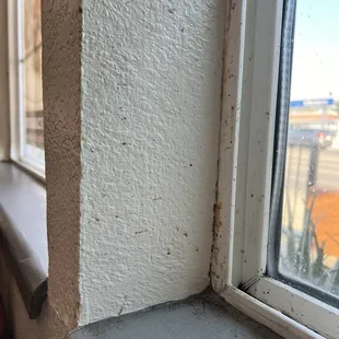 Más cagadas de moscas en las paredes