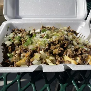 Carne Asada Fries