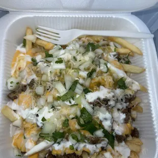 Carne Asada Fries.