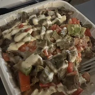 Carne asada fries