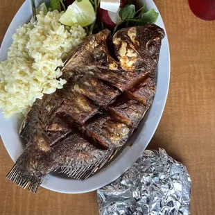 Tilapia