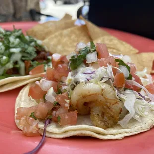 Grilled Shrimp Street Taco