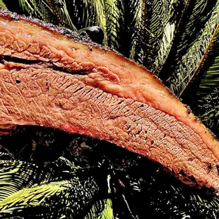 Brisket