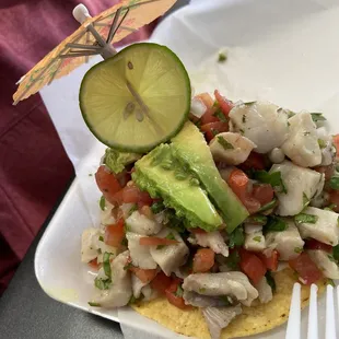 Fish Tostada