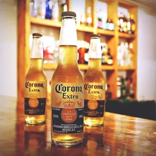 three bottles of corona extra