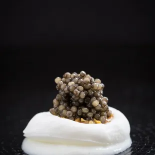 a caviate on a black background