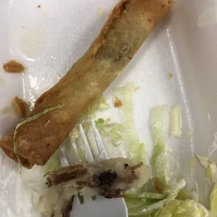 Potato beef taquito