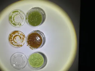 Maximo's Taquería