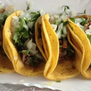 Tripa, barbacoa and pork tacos, YUM YUM!