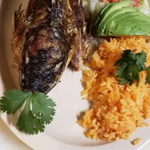 grilled fish, food