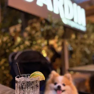 Casamigos Blanco | $15