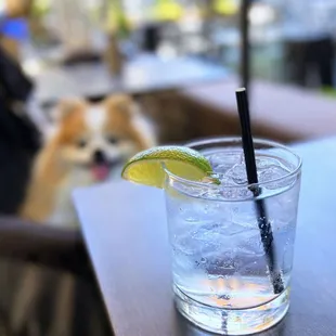 Maestro Dobel Silver Tequila &amp; Tonic | $16
