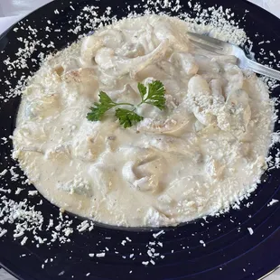 Pollo con Crema Special- asked for it spicy (they added jalapeños)