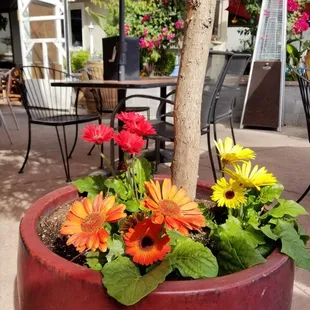 Patio seating with beautiful flowers  around