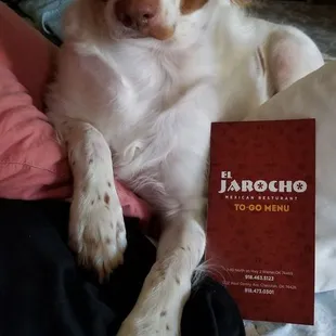 Tucker presenting El Jarocho's menu