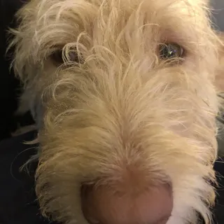 Debbie F.