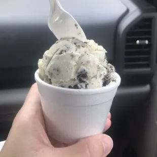 Vanilla with Oreo basically cookies and cream-single scoop