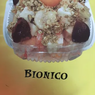 Biónico