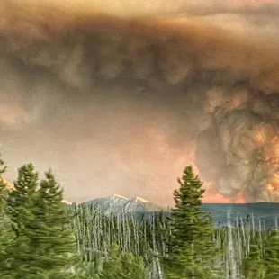 a large plume of smoke rising from a forest