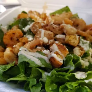 Cesar salad