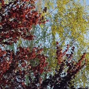 Wow look what I spotted on a recent walk. Can you tell what this is?