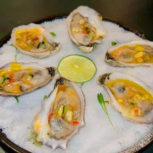 Oysters