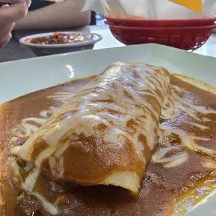 Shredded Beef Enchilada