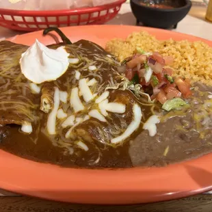 Shredded Beef Enchilada