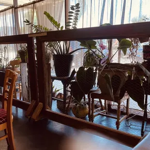 Indoor plant garden.