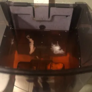 the inside of a fish tank